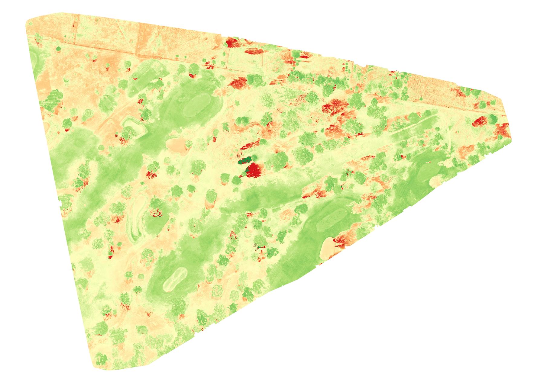 Multispectral crop vegetation map showing field variation